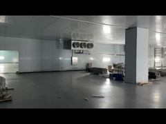 گوشت منجمد گوشت گاو مرغ غذاهای دریایی اتاق سرد