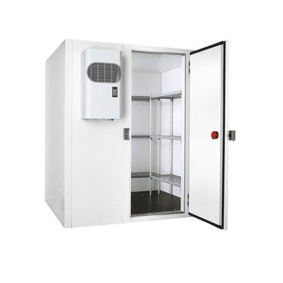 Supermarket Adjustable Shelving Freezer Room System Designed to Meet Demands of Retail Cold Storage with Space Management