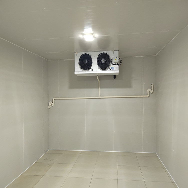 Nature-Friendly Cold Storage Room for Vegetable and Fruit Production PU100426