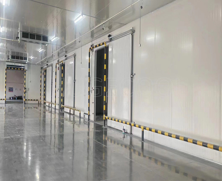 Nature-Friendly Cold Storage Room for Vegetable and Fruit Production PU100426