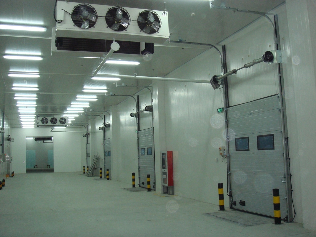 Cold Room for Butchery Dairy -10-0C Temperature and Customized Request