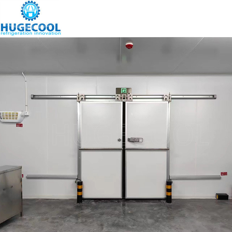 Small Walk in Freezer/Chiller for Vegetables Fruits Refrigerant Freon Cold Storage Room