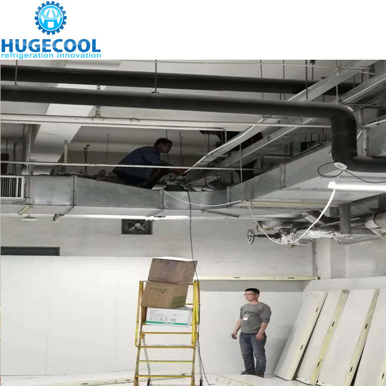 Blood -25- 40 Fireproof High Density PU Panel Cold Room Cold Storage Cooler Store Room