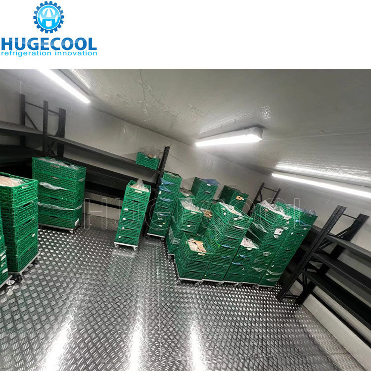Online Service 500m 2 Cold Storage Room Cooler Room for Fish Cooling Capacity 200 Kw