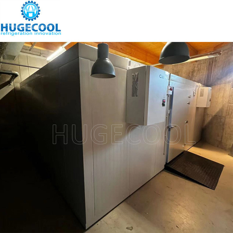 Online Service 500m 2 Cold Storage Room Cooler Room for Fish Cooling Capacity 200 Kw