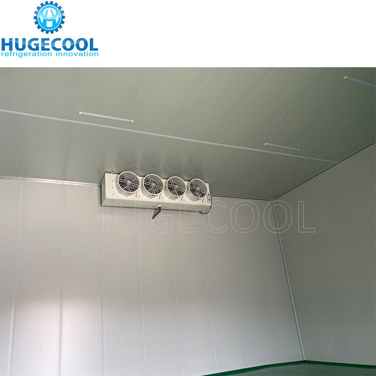 Large Onion Storage Room Cooler Room With Cam Lock Connection Type Rack Condensing Unit