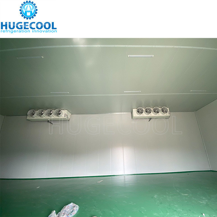 Large Onion Storage Room Cooler Room With Cam Lock Connection Type Rack Condensing Unit